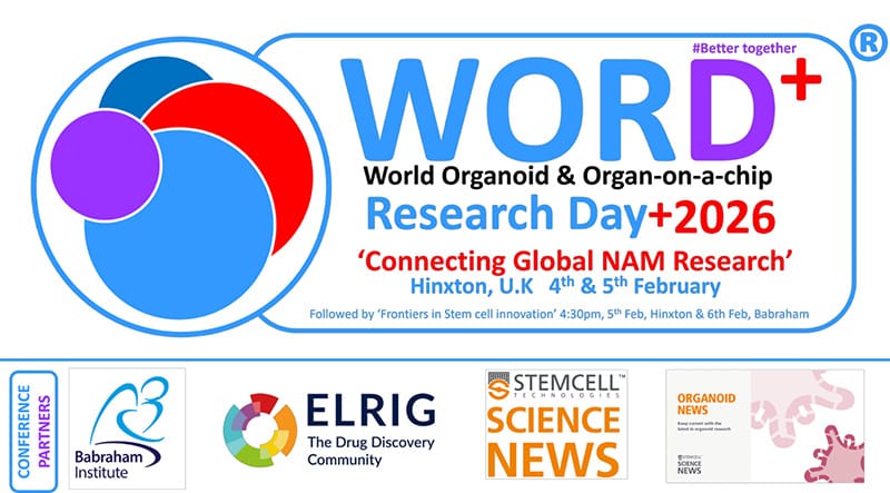 WORD 2026 logo