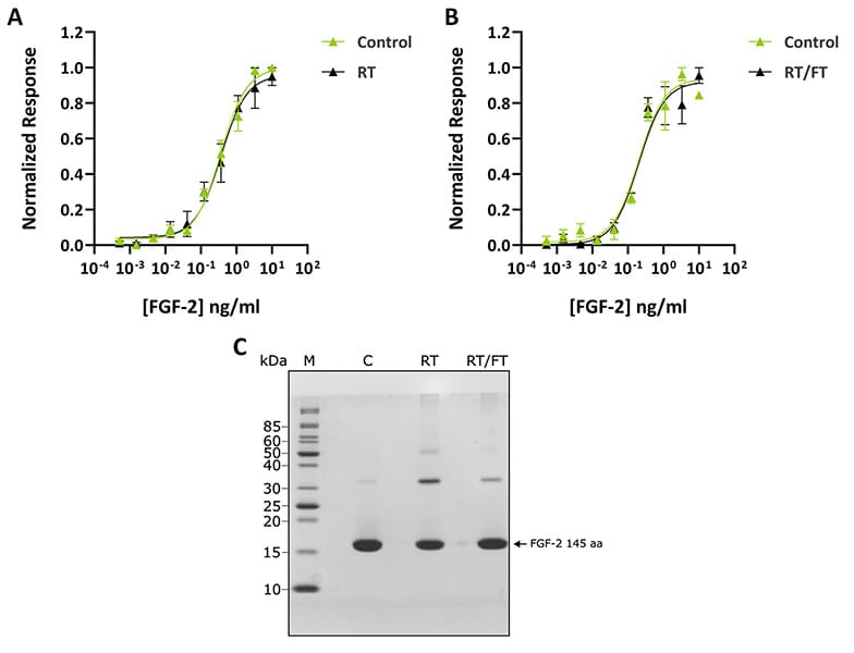 Figure 3 Qk025 FGF 2