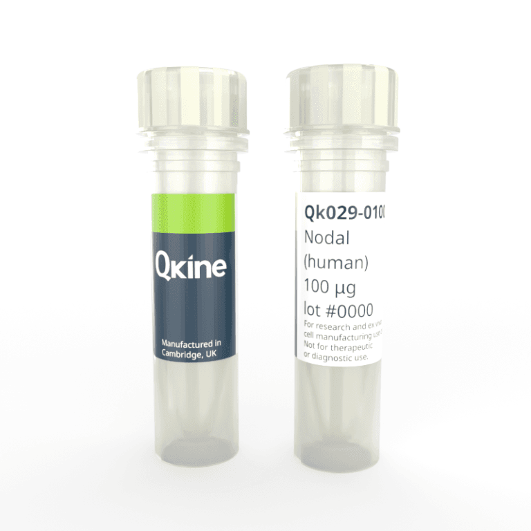 Qk029 Vial render