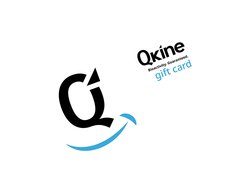 Qkine 2026 Gift Card tilt web