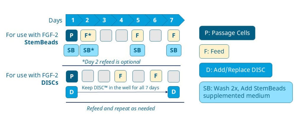 FGF 2 Feeding schedule