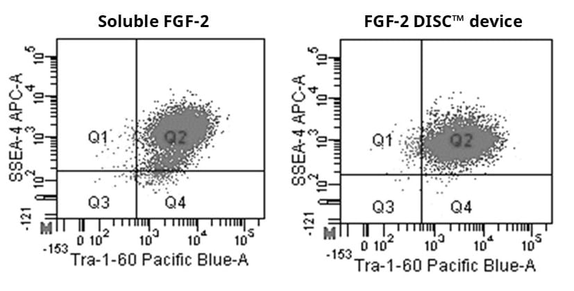 FGF 2 figure 2