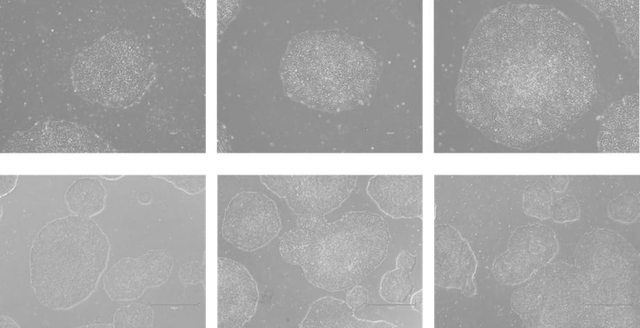 Figure 2 1