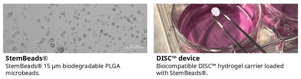 Stembeads disc images