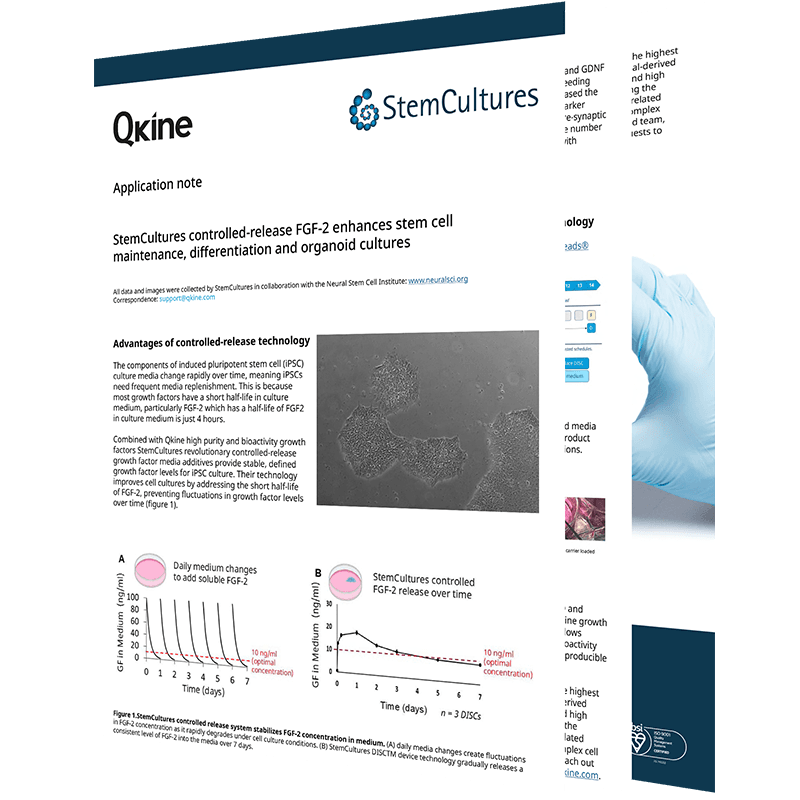 StemCultures controlled-release FGF-2 enhances stem cell maintenance, differentiation and organoid cultures image