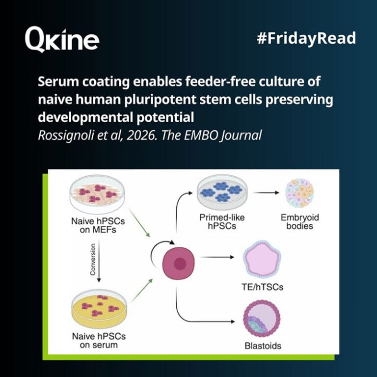 #FridayRead 10 April 2026 image
