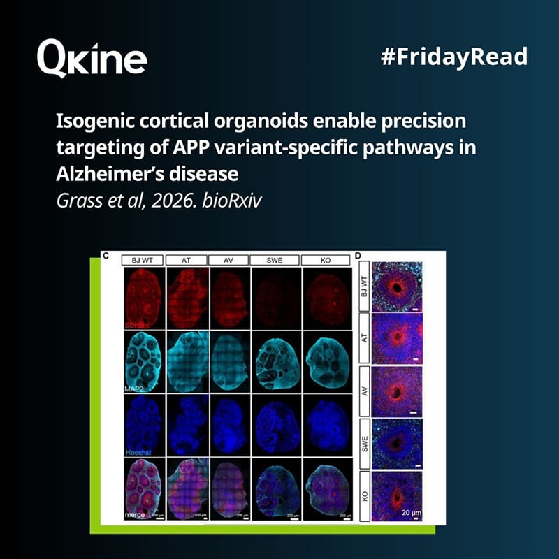 #FridayRead 24 April 2026 image