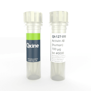 Recombinant human activin AB protein (Qk127) image