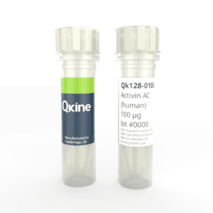 Recombinant human activin AC protein (Qk128) image