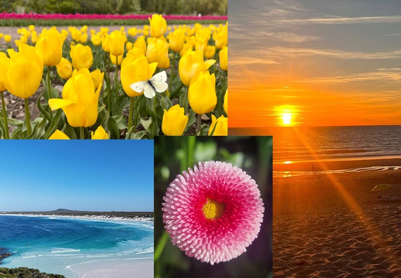 Images submitted to photo competition